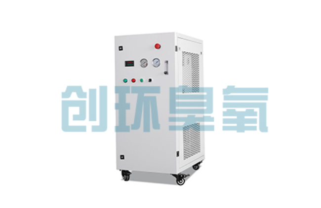 房山比传统换水更高效？臭氧发生器在石斑鱼养殖中的水质净化原理解析